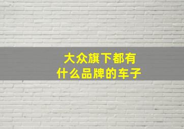 大众旗下都有什么品牌的车子