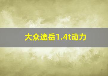 大众途岳1.4t动力