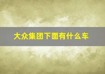 大众集团下面有什么车