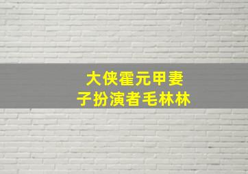 大侠霍元甲妻子扮演者毛林林