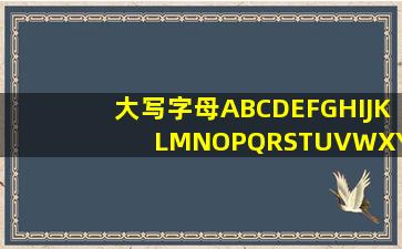 大写字母ABCDEFGHIJKLMNOPQRSTUVWXYZ