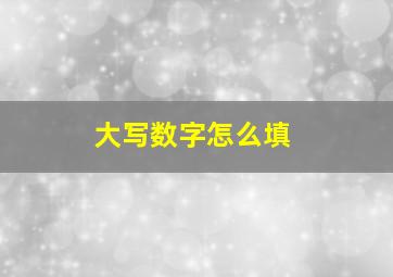 大写数字怎么填