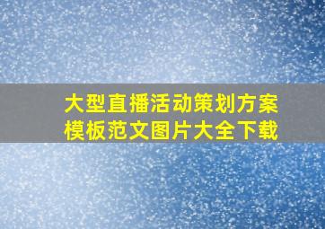 大型直播活动策划方案模板范文图片大全下载