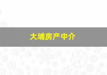 大埔房产中介