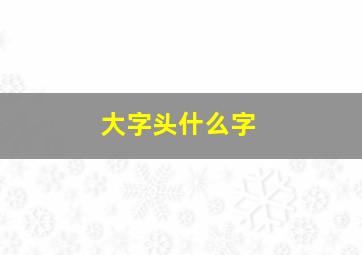 大字头什么字