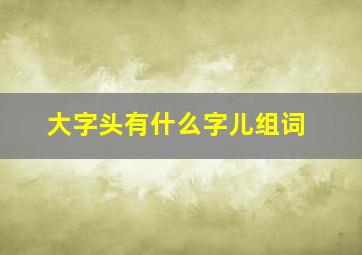 大字头有什么字儿组词