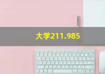 大学211.985