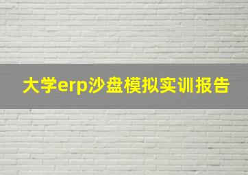 大学erp沙盘模拟实训报告