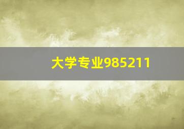 大学专业985211