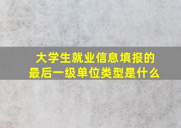 大学生就业信息填报的最后一级单位类型是什么