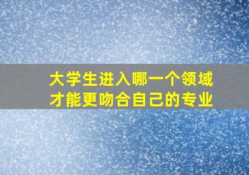 大学生进入哪一个领域才能更吻合自己的专业