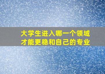 大学生进入哪一个领域才能更稳和自己的专业