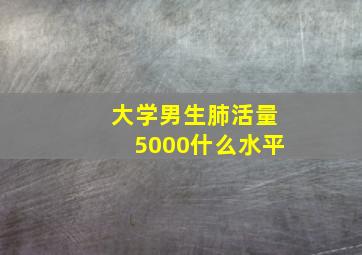 大学男生肺活量5000什么水平