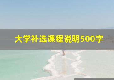 大学补选课程说明500字