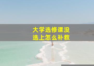 大学选修课没选上怎么补救