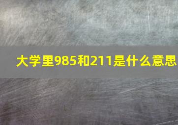 大学里985和211是什么意思