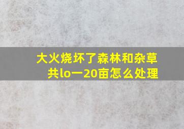 大火烧坏了森林和杂草共lo一20亩怎么处理