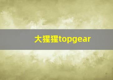 大猩猩topgear