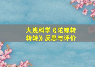 大班科学《陀螺转转转》反思与评价