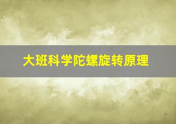 大班科学陀螺旋转原理