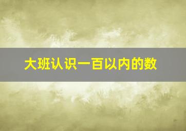 大班认识一百以内的数