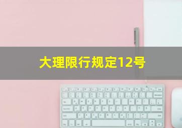 大理限行规定12号