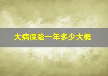 大病保险一年多少大概