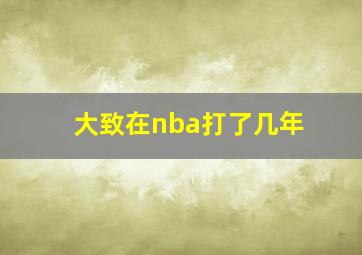 大致在nba打了几年