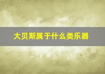 大贝斯属于什么类乐器