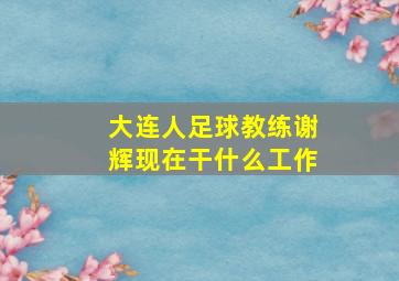 大连人足球教练谢辉现在干什么工作