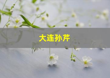 大连孙芹