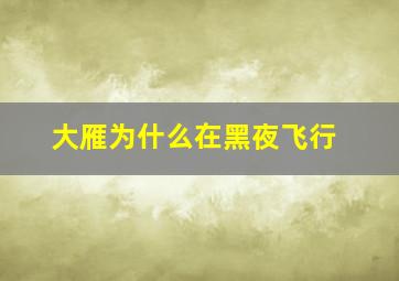 大雁为什么在黑夜飞行