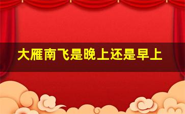 大雁南飞是晚上还是早上