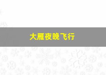 大雁夜晚飞行