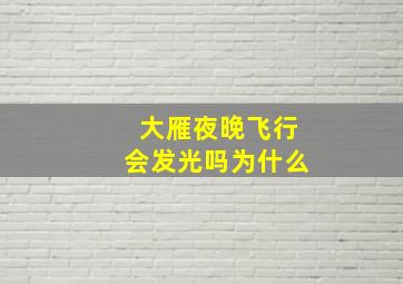 大雁夜晚飞行会发光吗为什么