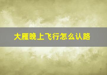 大雁晚上飞行怎么认路