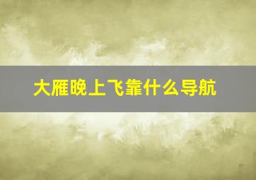 大雁晚上飞靠什么导航