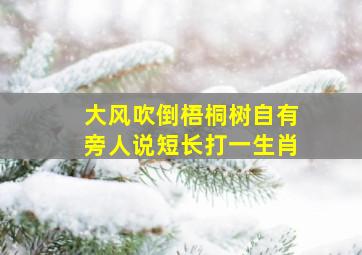 大风吹倒梧桐树自有旁人说短长打一生肖