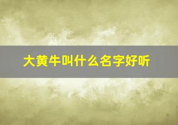 大黄牛叫什么名字好听