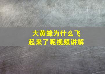 大黄蜂为什么飞起来了呢视频讲解