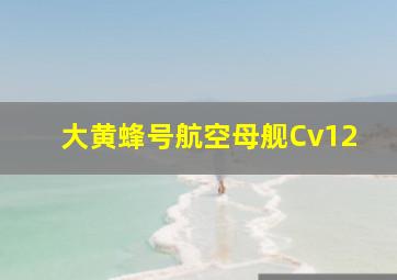 大黄蜂号航空母舰Cv12