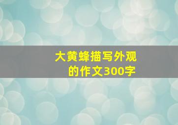 大黄蜂描写外观的作文300字