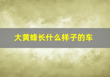 大黄蜂长什么样子的车