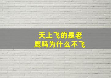 天上飞的是老鹰吗为什么不飞