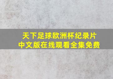 天下足球欧洲杯纪录片中文版在线观看全集免费