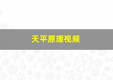 天平原理视频