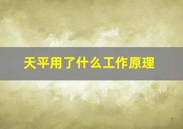 天平用了什么工作原理