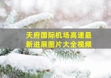 天府国际机场高速最新进展图片大全视频