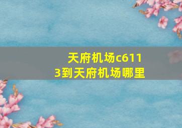 天府机场c6113到天府机场哪里