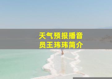 天气预报播音员王玮玮简介